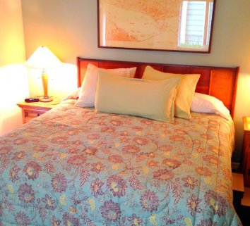 The Guest Room: Lake Union - Fun accommodations right across the street from Lake Union and Seattle houseboats.  Private entrance, private patio, living room with fireplace, king sized bed, large TV, private bath.