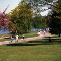 Green Lake - 