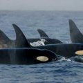 San Juan Islands - 